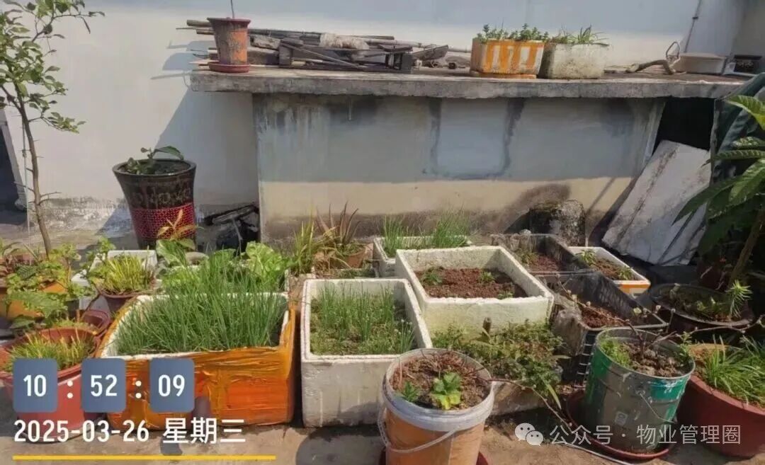 圖片關(guān)鍵詞 圖片