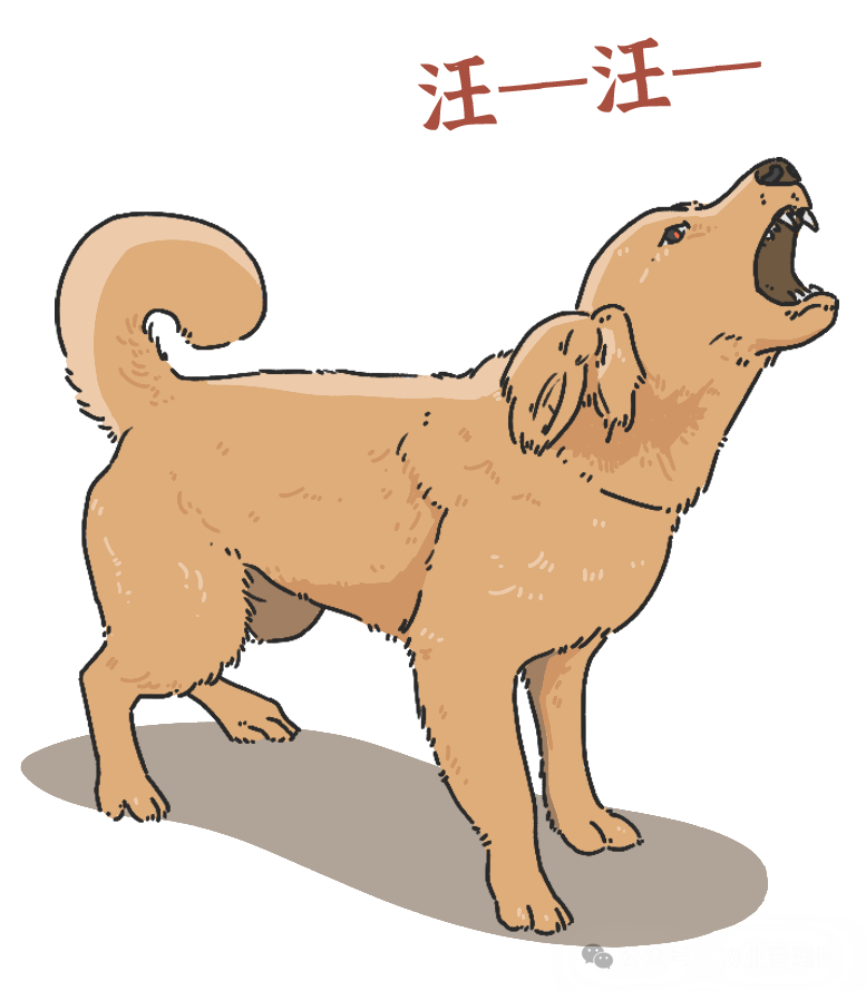 圖片關(guān)鍵詞 圖片