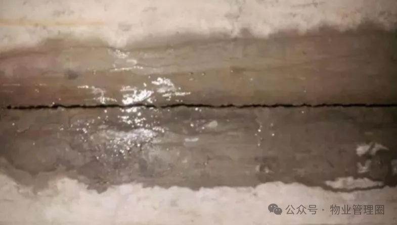 圖片關(guān)鍵詞 圖片