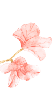 圖片關(guān)鍵詞 圖片