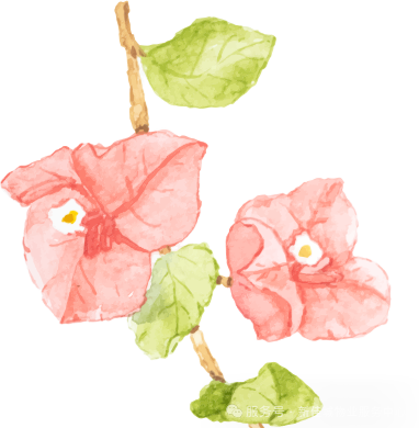 圖片關(guān)鍵詞 圖片