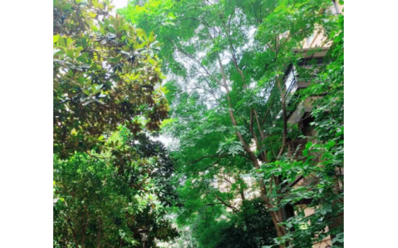 互學(xué)互鑒，共促提升