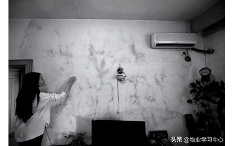 業(yè)主三問：外墻滲水誰來修？車位不夠車停哪兒？財(cái)產(chǎn)被盜誰擔(dān)責(zé)？
