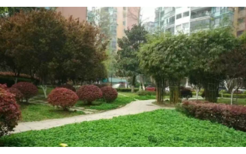 你交的物業(yè)費包含哪些服務？