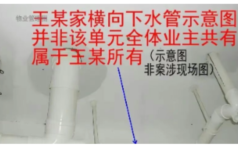樓上支管漏水、樓下遭殃，誰承擔賠償責任？